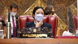 Puan Usul Kapal-kapal Pelni 'Disulap' Jadi RS Pasien COVID-19