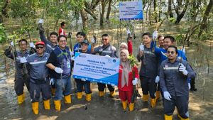 HUT ke-72, PTPP Tanam 720 Bibit Mangrove di Surabaya