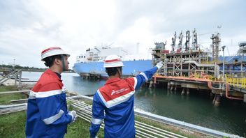 Élargir Le Potentiel Du Marché, Pertamina International Shipping Ouvre Des Opportunités De Coopération