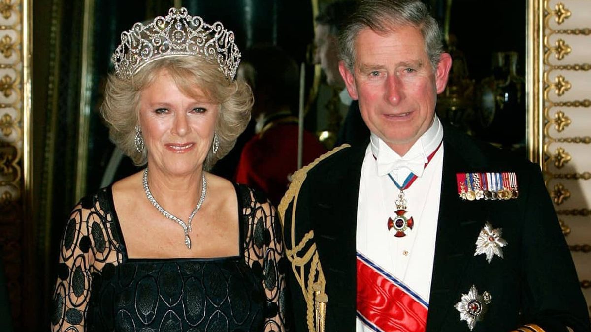 英国王室の専門家は、カミラがダイアナ・チャールズの結婚の「悪役」であると考える人々を非難します