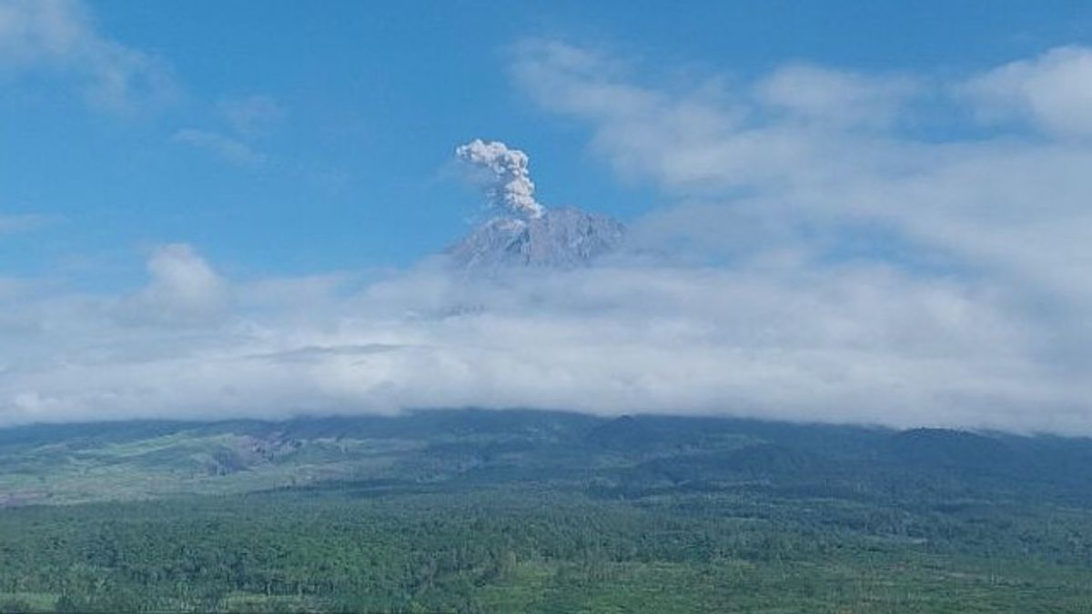 Mount Semeru Eruption, High Eruption Reaches 900 Meters