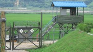 Korea Selatan Gelar Operasi Pencarian, Ini Sosok Pria Penerobos Zona Demiliterasi ke Korea Utara 
