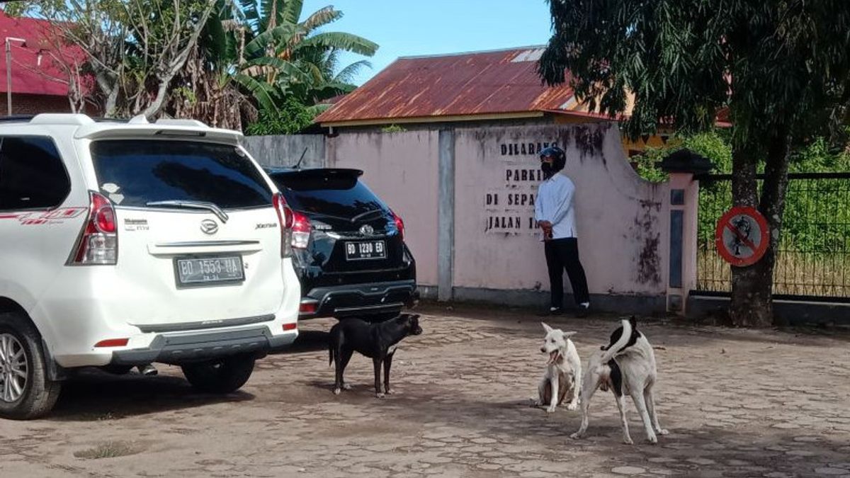 8月中、ムコムコで狂犬病感染動物に噛まれた12人