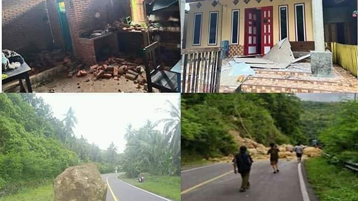 Facts About The 5.9 Magnitude Earthquake In Majene, There Was A Large Rock Rolled From The Cliff To The Road