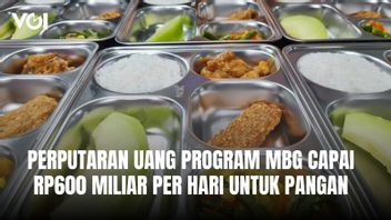 Le programme MBG a atteint 600 milliards de roupies par jour pour les agriculteurs et les éleveurs