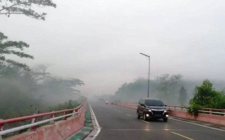 Kabut Asap Karhutla Ganggu Jarak Pandang di Pulang Pisau-Palangka Raya