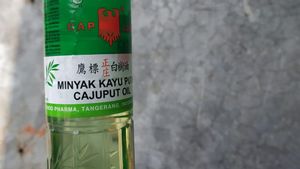 Benarkah Minum atau Hirup Minyak Kayu Putih Tangkal Hingga Sembuhkan COVID-19?