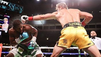 Unpaid From Last Year's Fight With Mayweather, Logan Paul: He Has No Money