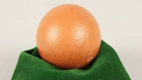 Called Egg Sold For IDR 4 Million, What's Special?