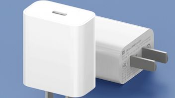 小米卖一个 USB 型 C 充电器适配器为 IPhone12