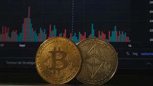 Apa Itu Drawdown dan Kenapa Trader Kripto Wajib Memahaminya?