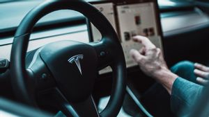 Tesla Pilih India bukan Indonesia untuk Bangun Pabrik Mobil Listrik, Indef: Pajak di Sana Murah