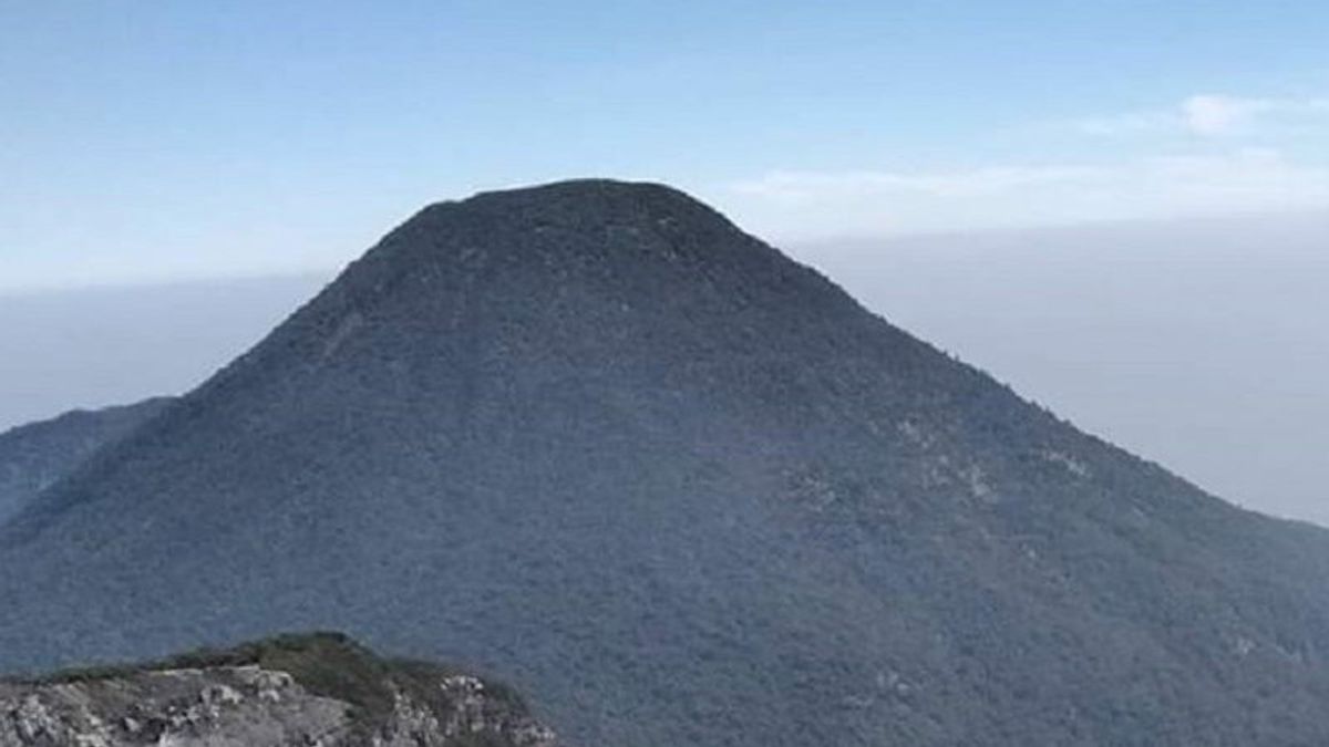 Belasan Pendaki Tanpa Izin Diamankan Petugas Gunung Gede Pangrango
