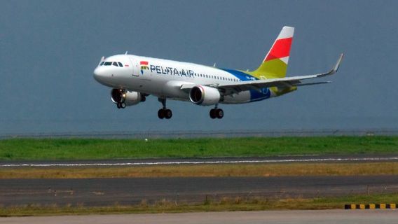 Soal Merger dengan Citilink, Izin Usaha Pelita Air Dipertanyakan