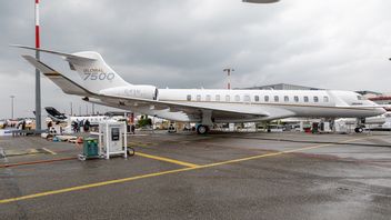 Bypass Pandemic Rules For Holidays In Europe, Russian Tycoon Opts For Private Jets