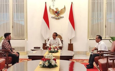 Syahrul Yasin Limpo Akhirnya Tatap Muka Langsung dengan Jokowi di Istana