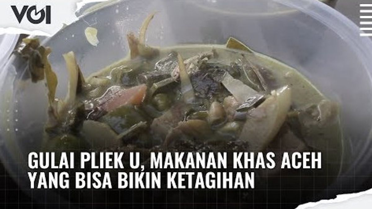 VIDEO: Pliek U Curry, Aceh's Typical Food That Can Make You Addictive