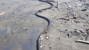 DLHK يتحقق من تسرب النفط في شاطئ سابا بورناما جيانيار