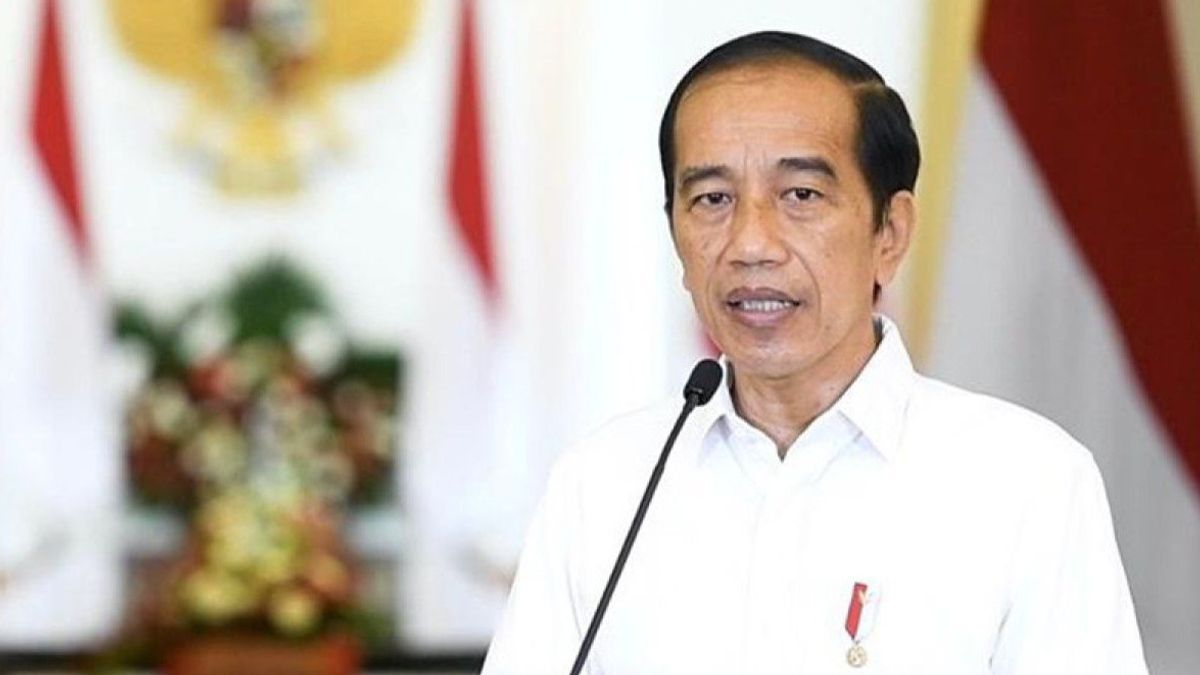 Next Week, Jokowi's Ministers Will Fly To IKN To Hold A Initial Cabinet Session