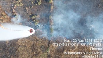 KLHK Melaporkan Seluas 2 Ribu Hektare Lahan di Sumsel Terbakar Selama 2021