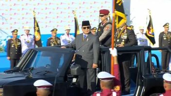 与人文机器人合作,能否提高警务水平?