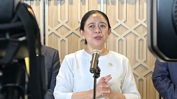 Puan Invites 3 Banteng Cadres To Leave PDIP If You Want To Move To PSI