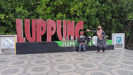 Selain Pantai Bira, Desa Wisata Mangrove Luppung Ikut Diperkenalkan sebagai Destinasi Wisata di Bulukumba