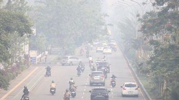 BNPB تنبه إلى احتمال ظهور حرائق الغابات في عدد من المناطق