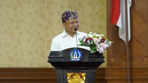 Koster: Bali Doesn't Need Thugs Ormas, The Disturbing Will Face It Directly With Indigenous People