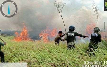 Api di Taman Nasional Way Kambas Berhasil Dipadamkan Petugas Gabungan