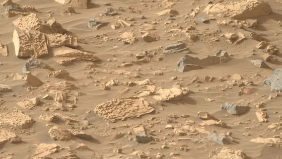 Penjelajah Perseverance Temukan Batuan Mirip Popcorn di Mars