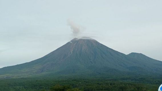 Mount Semeru Today: 14 Explosion Earthquakes Were Recorded, Alert Status