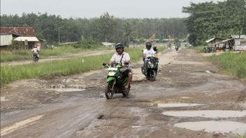 监察员在3个月内收到40份关于楠榜受损道路的报告