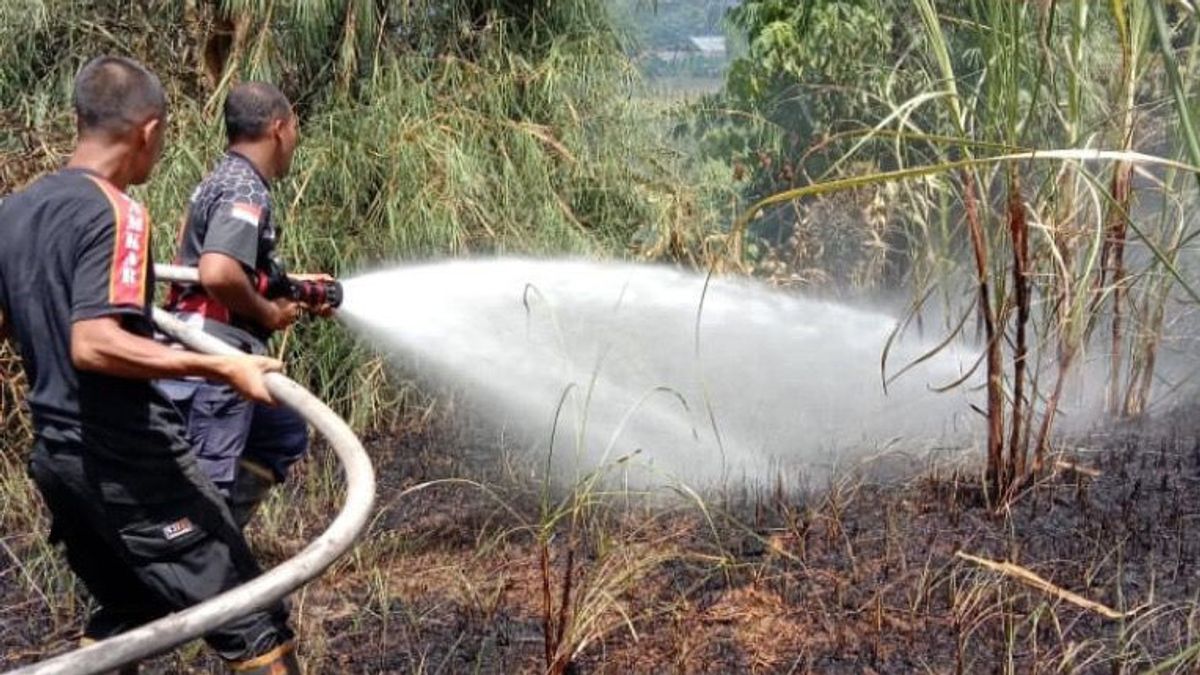 Satu Hektare Lahan Aceh Terbakar di Tengah Kemarau Basah