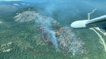 3,8 Juta Hektar Hutan Terbakar di Kanada, Kabut Asap Sampai Amerika Serikat