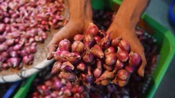 Bapanas Catat Harga Bawang Merah Rp38.570 per Kg, Daging Ayam Rp34.931