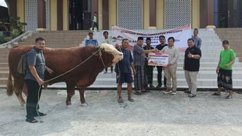 ジョコウィ、900kgの犠牲牛をIKNに送る、権限:政府と社会の関係を強化する