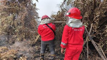 中央カリマンタンの東バリトの土地火災を消火するための合同チーム