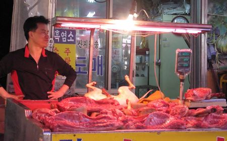 Presiden Korea Selatan Moon Jae-in Pertimbangkan Larangan Mengonsumsi Daging Anjing