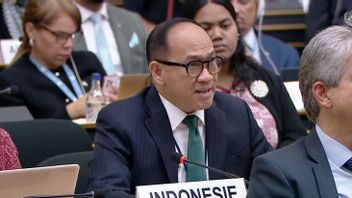 Indonesia Asks The International Community To Take Firm Action Against Israel In The UN Human Rights Council Debate