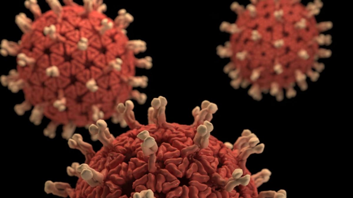 Epidemiolog: Data Terkait Virus Langya Belum Solid