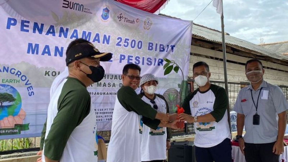 PT Timah Lakukan Penanaman 2.500 Bakau di Sungai Pangkalpinang; Mencegah Abrasi dan Bencana Banjir