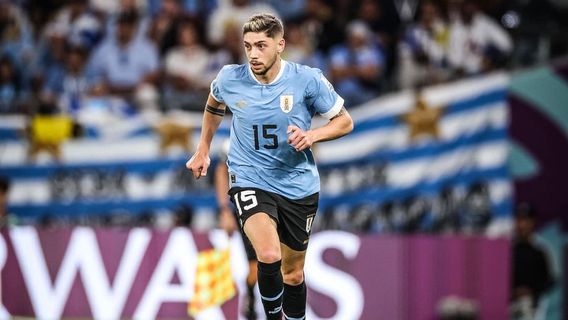 هاوس غول في ريال مدريد، لماذا يشارك فيديريكو فالفيردي بابوك مع منتخب أوروغواي الوطني في كأس العالم قطر 2022؟