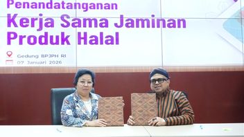 KKP Partners with BPJPH to Guarantee the Halalness of Domestic Fishery Products
