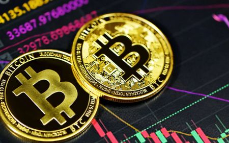 Balaji Srinivasan Bermimpi Bitcoin Tembus 1 Juta Dolar AS per BTC, Mr. Whale Ajak Berpikir Realistis