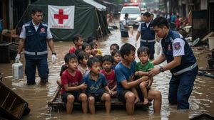 IDAI Ungkap 3 Penyakit yang Mengintai Anak Korban Banjir Sumatera