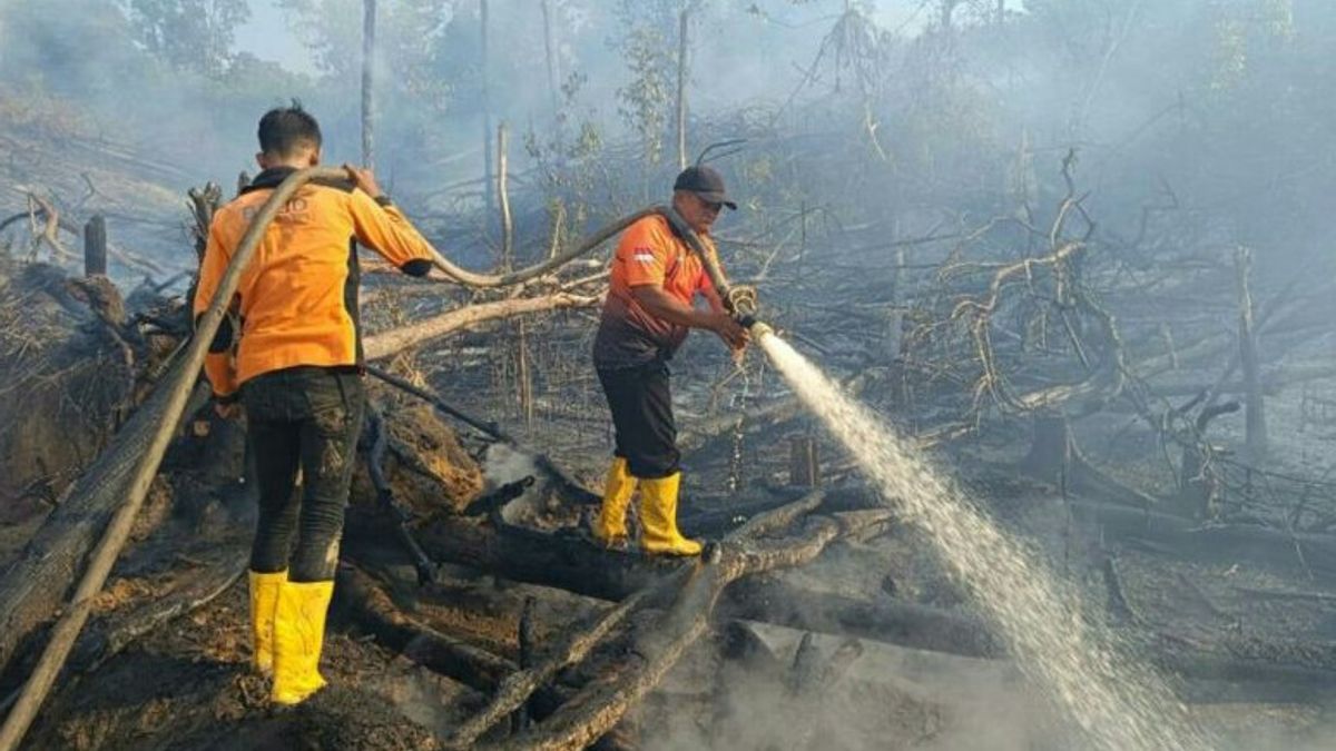 346 Hotspots Detected In East Kalimantan, BMKG Urges All To Be Alert