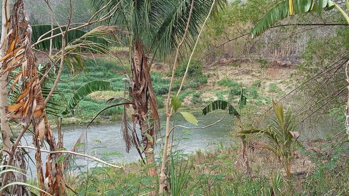 Cegah Sungai di Bantul Meluap di Musim Hujan, BPBD Pasang Alat Deteksi Banjir di 5 Titik 