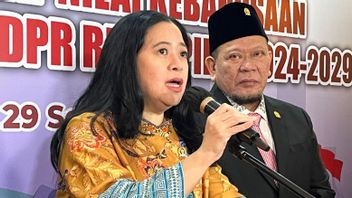 Puan Tegaskan Pergantian Tia Rahmania sebagai Anggota DPR Bukan karena Kritik Nurul Ghufron