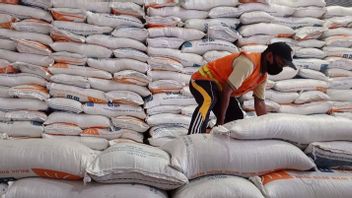 Bapanas: Rice Imports Do Not Drop Prices At Farmers' Level
